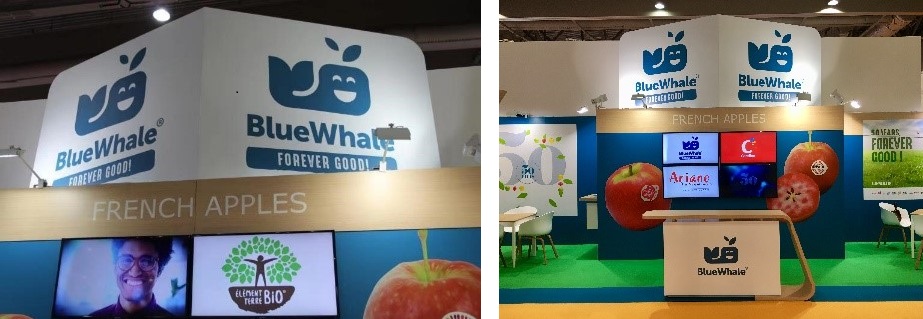 在2019年亚洲国际果蔬展览会上，蓝鲸正在展示他们的法国苹果